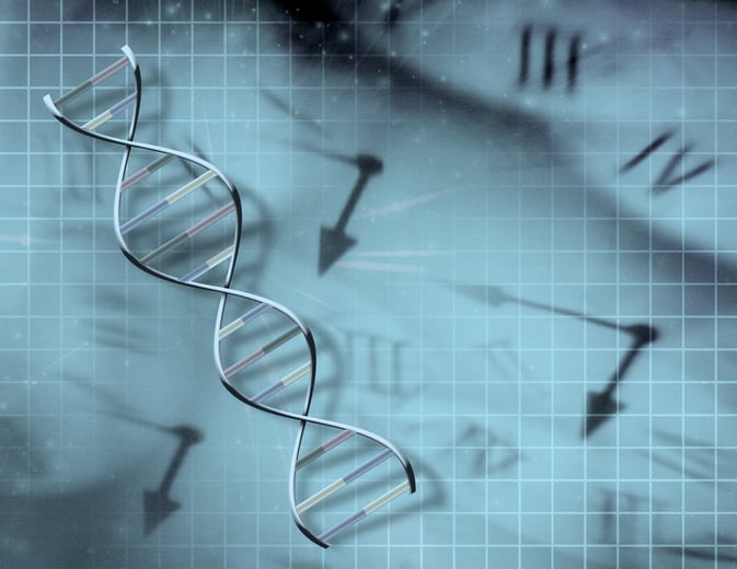 Anti-aging biotech NewLimit raises $130M to push liver reprogramming med into clinic