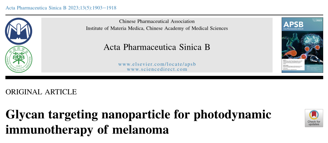 Acta Pharmaceutica Sinica B: 一种新型纳米粒子免疫治疗黑色素瘤