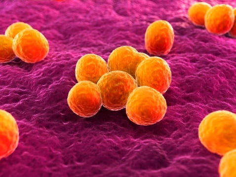 Basilea opts not to take MRSA antibiotic into clinic due to \'stringent risk-return criteria\'