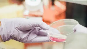 Dianthus Therapeutics Announces Initiation of Phase 3 Emerge Trial of Claseprubart in Generalized Myasthenia Gravis