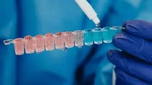 Actimed Therapeutics Enrolls First Patients in Phase 2a PROACT Study Programme to Assess S-pindolol benzoate in Obese Patients During and Post-GLP-1 Agonist Therapy