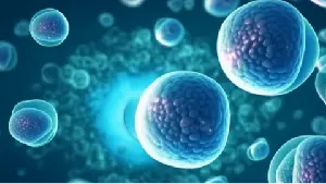Cell：新研究揭示肾癌会激活人类基因组中休眠的病毒基因，有可能开发出新的肾癌免疫疗法