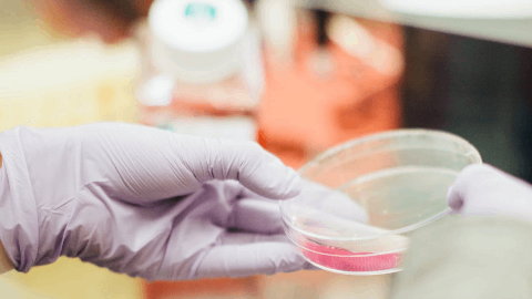 Clearmind Medicine Launches First U.S. Clinical Site for its FDA-Approved Clinical Trial to Combat Alcoholism