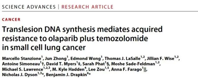 《科学》子刊：首次发现小细胞肺癌对DNA损伤类药物耐药的机制