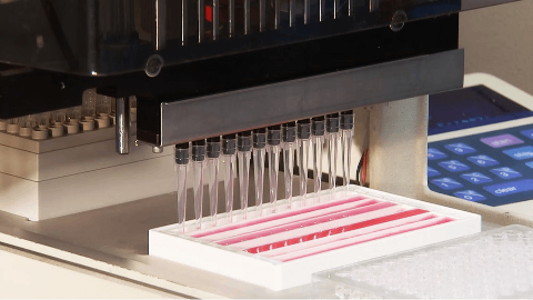AbbVie’s Elahere demonstrates 62.7% response rate in platinum-sensitive ovarian cancer
