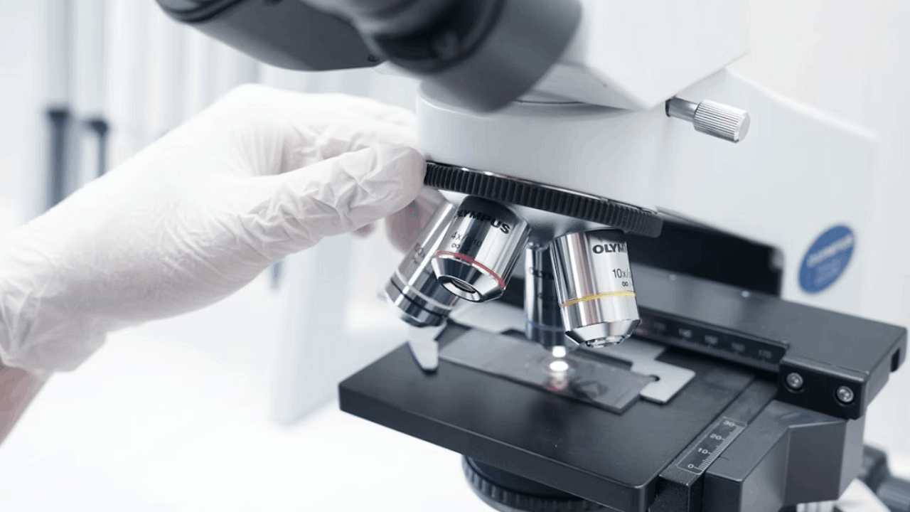SystImmune Announces First Patient Dosed in Global Phase 3 Trial of BL-M14D1 in First-Line Extensive-Stage Small Cell Lung Cancer