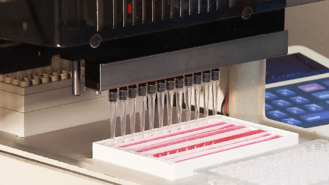 Actuate to Present Elraglusib Phase 2 Topline Data at the 2025 American Society of Clinical Oncology (ASCO) Annual Meeting