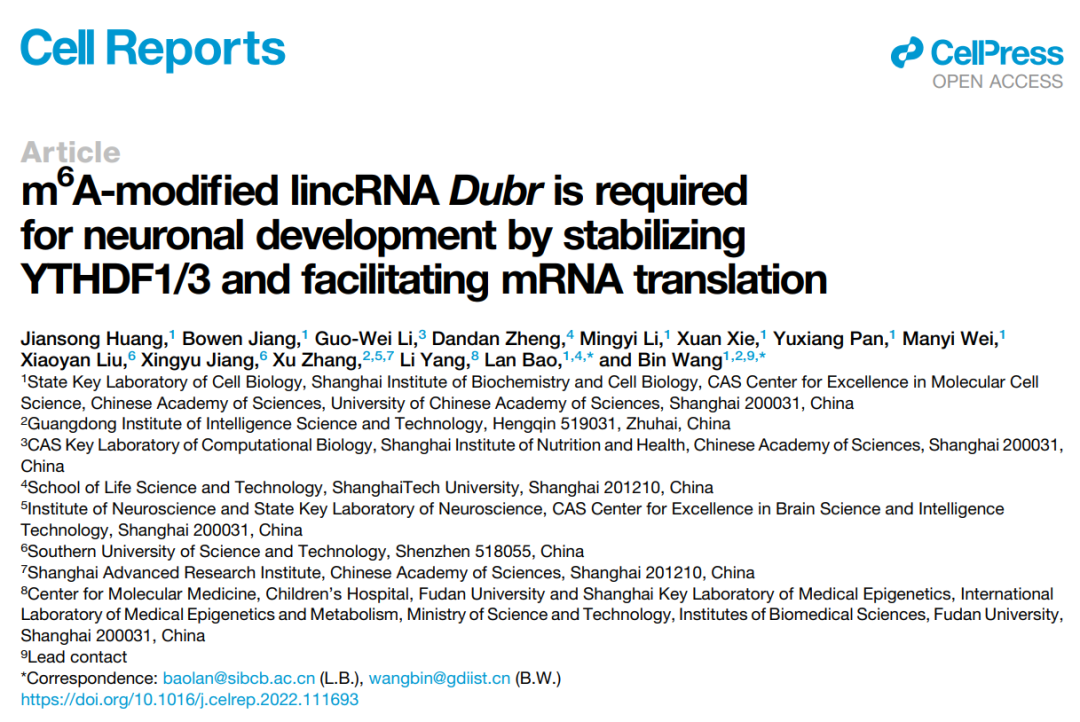 Cell子刊：鲍岚团队揭示m6A修饰lncRNA调控神经发育的分子机制