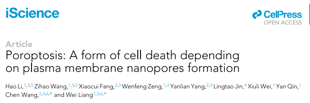 梁伟/王琛团队合作揭示新型细胞死亡形式——Poroptosis