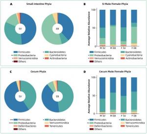 Burned and bloated: gut bacteria take a hit after alcohol and burn injuries