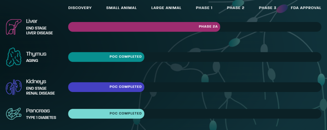 两家生物企业联合开发1型糖尿病的新型细胞疗法