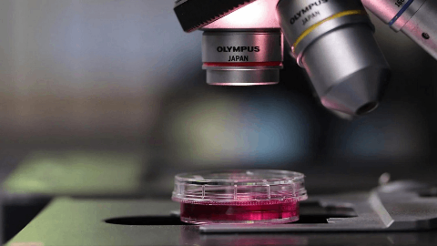 Actuate Therapeutics Highlights Significant and Sustained Survival Benefit in Key Metastatic Pancreatic Cancer Patient Populations in Phase 2 Elraglusib Trial