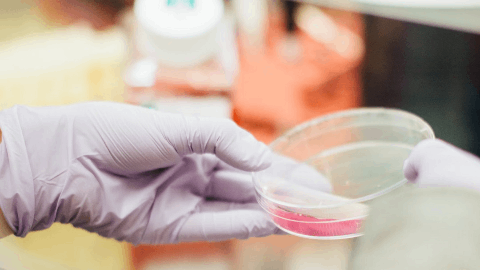 Neurona Therapeutics Presents Positive Clinical Data Update from NRTX-1001 Cell Therapy Trial in Drug-resistant Epilepsy at American Academy of Neurology Annual Meeting