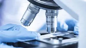 Phanes Therapeutics Receives FDA Fast Track Designation for Spevatamig in Advanced and Metastatic Biliary Tract Carcinoma
