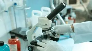 Psyence Biomed Announces $2.0 Million Private Placement