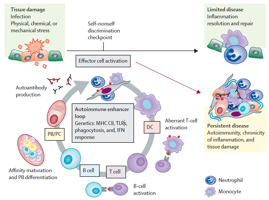 首批患者病情好转且停药！CAR-T疗法或有望“治愈”多种免疫疾病