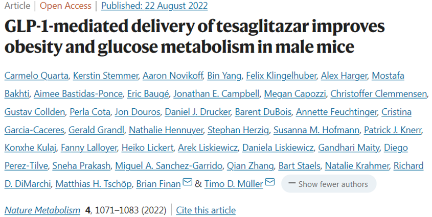 Nat Metab：将替格列扎与GLP-1偶联在一起有望更有效治疗2型糖尿病
