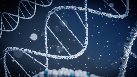 Medera and University of Kansas Medical Center Announce First Patient Treated in Pioneering Gene Therapy Trial for Duchenne Muscular Dystrophy Associated Cardiomyopathy