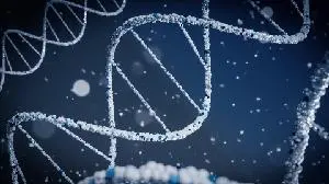 Medera and University of Kansas Medical Center Announce First Patient Treated in Pioneering Gene Therapy Trial for Duchenne Muscular Dystrophy Associated Cardiomyopathy