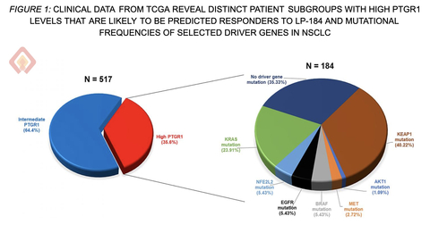 Lantern Pharma Secures FDA Clearance for Planned Phase 1b/2 Trial of LP-184 in Biomarker-Defined, Treatment-Resistant NSCLC Patients with High Unmet Clinical Need