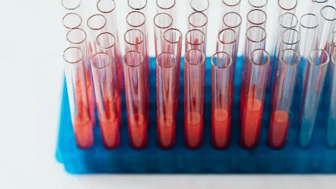 Bluejay Therapeutics Announces Upcoming Presentation of Preclinical Data in Metabolic Dysfunction-Associated Steatohepatitis (MASH) at European Association for the Study of the Liver (EASL) Congress 2025