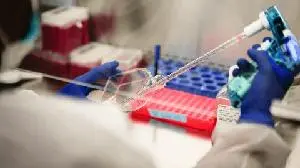Partner Therapeutics Announces FDA Approval of BIZENGRI® (Zenocutuzumab-zbco) for NRG1 Fusion-Positive Cholangiocarcinoma Following Receipt of FDA Commissioner's National Priority Voucher
