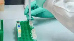 Priovant Announces FDA Acceptance and Priority Review of New Drug Application for Brepocitinib in Dermatomyositis