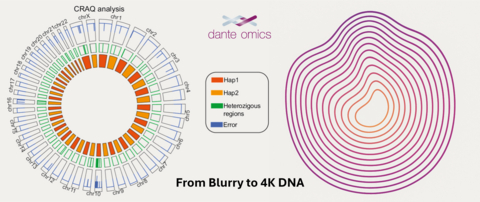 From Blurry to 4K DNA: Dante Omics AI, Rockefeller University, Giunta Lab and Global Partners Assemble the Most Complete Genome for the RPE-1 Cell Line – the Standard for Complex Cell Engineering Experiments