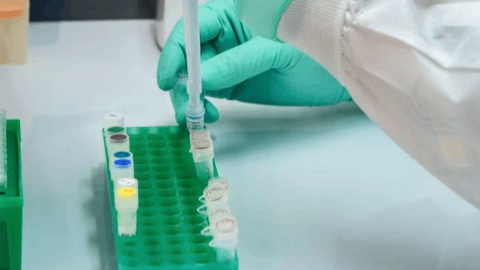 Genmab Presents Pivotal Phase 3 Data from EPCORE® FL-1 Trial Demonstrating Clinical Benefit of EPKINLY® (epcoritamab-bysp) in Combination with Rituximab and Lenalidomide (R2) in Patients with Relapsed or Refractory Follicular Lymphoma