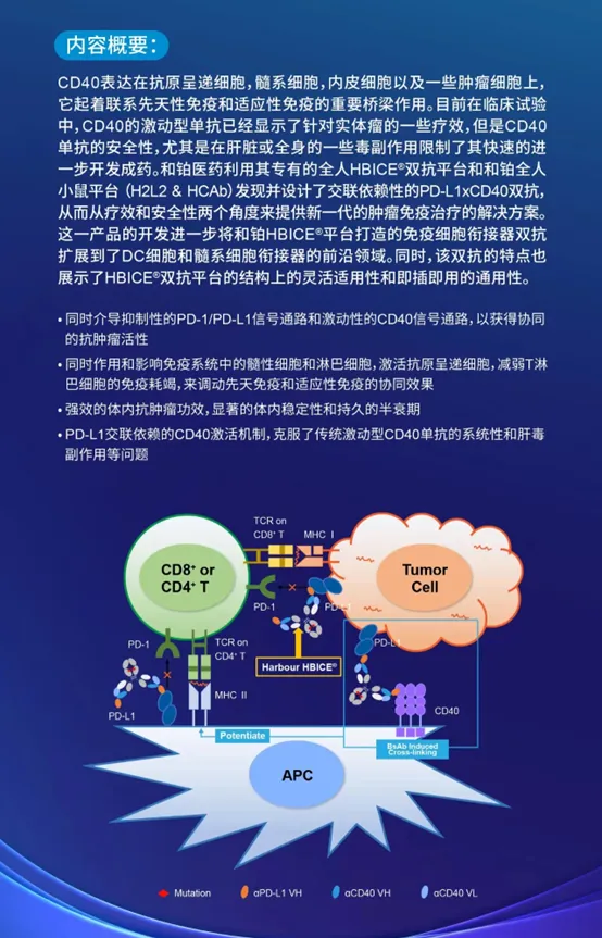 和铂医药PD-L1/CD40双特异性抗体IND申请获CDE受理