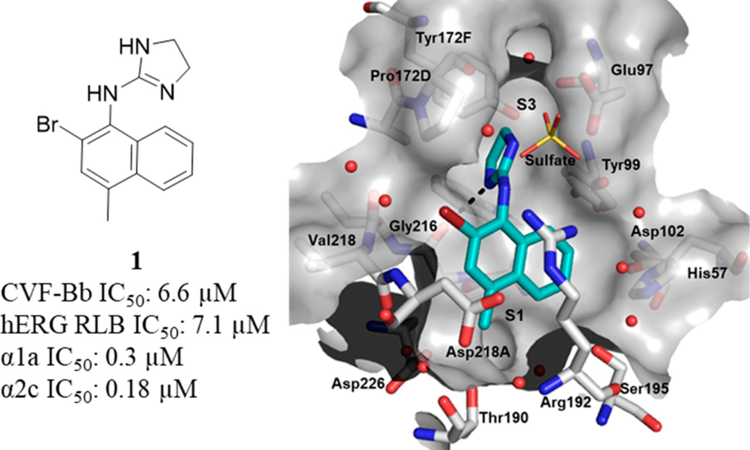 First-in-class的补体因子B抑制剂Iptacopan的药物设计