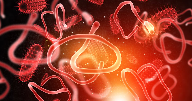 Merck weighs use of COVID antiviral Lagevrio as Ebola outbreak worsens