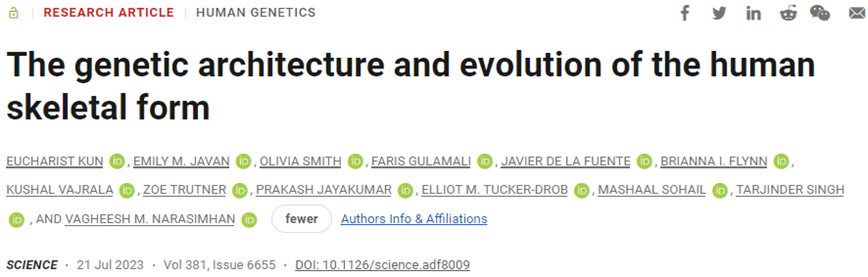 Science：新研究发现了使类人猿从以指关节为基础的跳跃转变为人类直立行走的基因变化