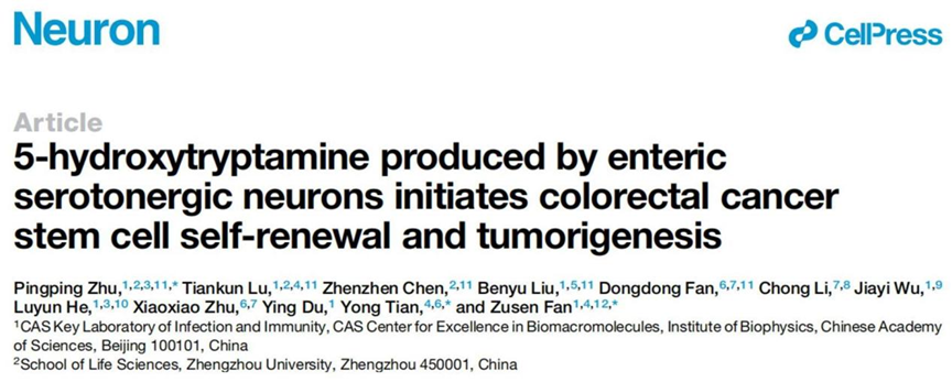 《细胞》子刊：中科院联合郑大破解肠道神经促进肠癌形成的机制