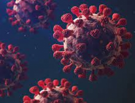 Mylab inks pact with Hemex Health to develop next-gen diagnostic solutions for POC testing of coronavirus