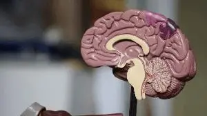 Denteric Commences a Phase I Safety Study in Patients with Early Alzheimer's Disease