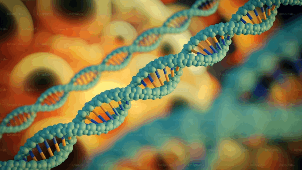 Kazia Therapeutics Announces Compelling Preclinical and Translational Data for Nuclear PD-L1 Degrader (NDL2)