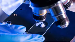 微光基因完成新一轮数千万元融资，开发VLP/LNP递送体内表观基因编辑