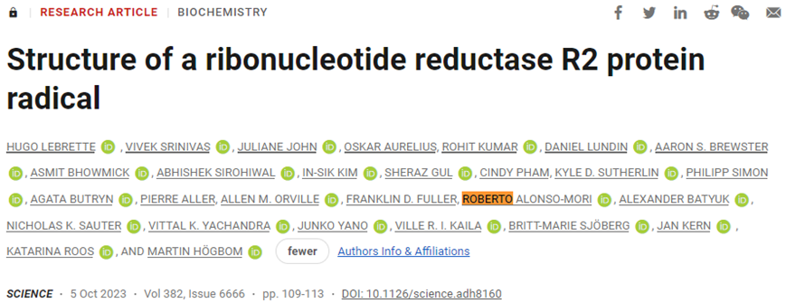 揭示核糖核苷酸还原酶在自由基状态下的三维结构