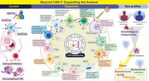 CAR therapy moves beyond cancer