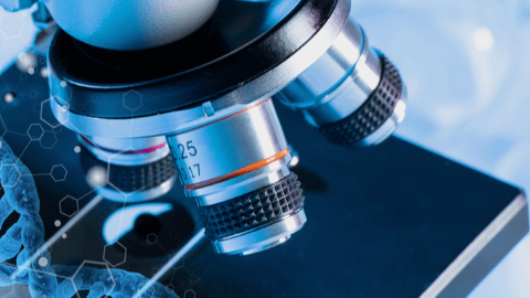 Ayala Pharmaceuticals Announces Successful End-of-Phase 2 Meeting with FDA Regarding AL102 for the Treatment of Desmoid Tumors
