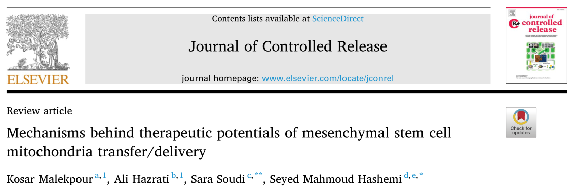 重磅综述！间充质干细胞线粒体转移/传递治疗潜能背后的机制