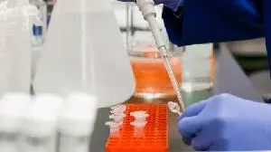 Can-Fite: FDA Approved Compassionate Use Treatment with Namodenoson in a Pancreatic Cancer Patient