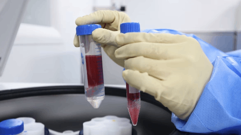 March Biosciences Announces Oral Presentation of MB-105 Interim Phase 2 Clinical Data at American Society of Hematology Annual Meeting