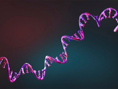 Rona Therapeutics Secures USD 35 Million in Series A+ Financing