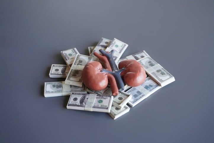 Pathalys raises $105M series B to prepare Japan-approved kidney disease drug for FDA 