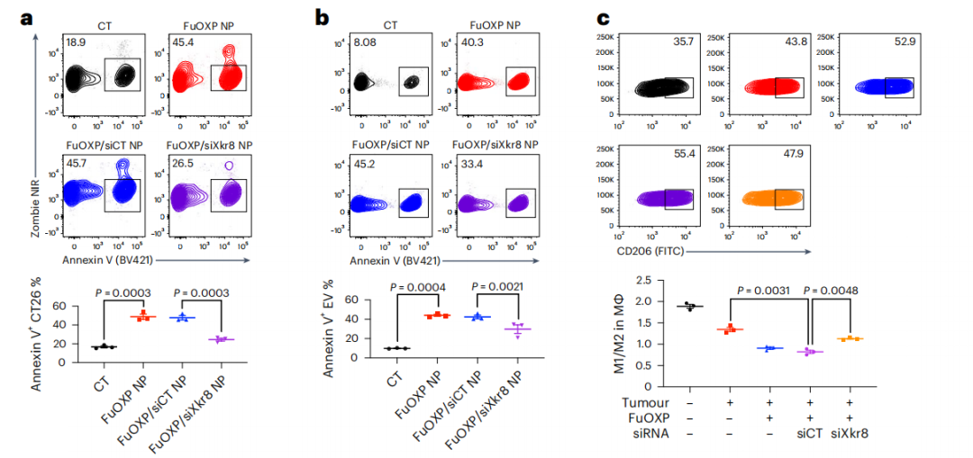 新靶点+新载体：黎松团队通过siRNA联合化疗，增强抗肿瘤免疫反应