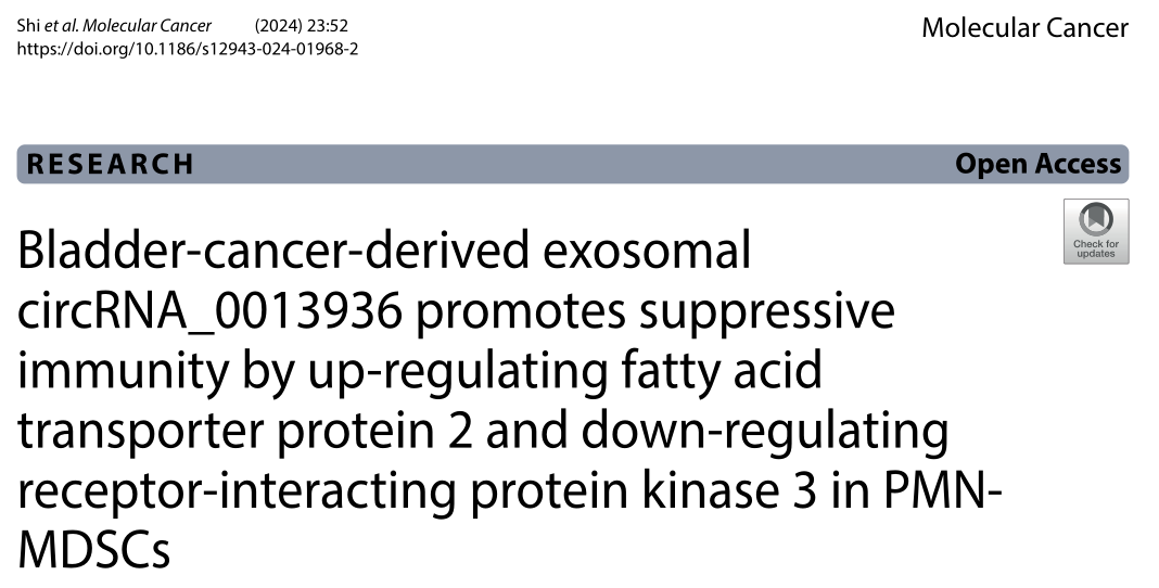 南方医科大学研究者们揭示了circRNA_0013936有望成为膀胱癌的有效治疗靶点