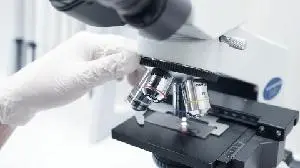 Immunofoco Presents Preclinical Data for IMV102, an In Vivo CAR-T Candidate, Demonstrating Durable Tumor Control at the AACR 2026