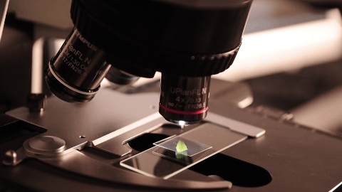 BriaCell’s Bria-IMT™ Demonstrates Survival Advantage over Trodelvy® and Control Group in Metastatic Breast Cancer